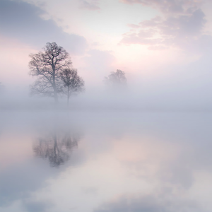 成人三级视频在线

